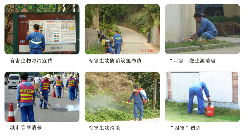 深圳市金沙js77999清洁服务公司 四害消杀人 城市管网消杀